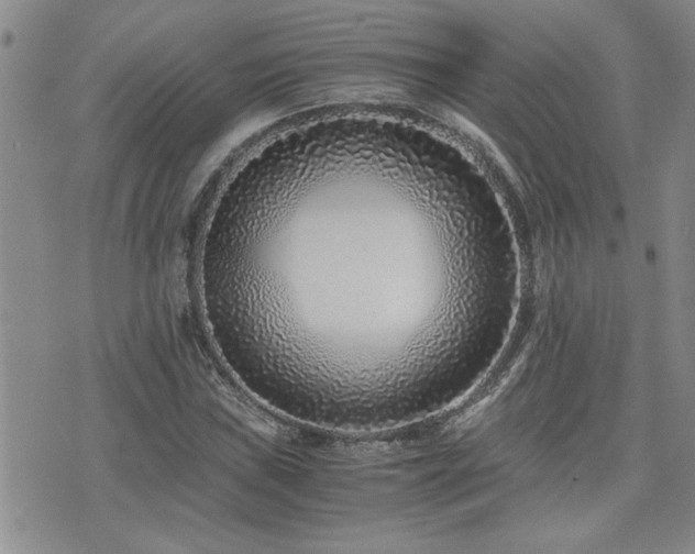 X0000076051019200609221052