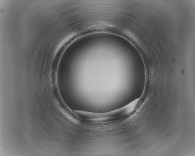 X0000076051026200609221052