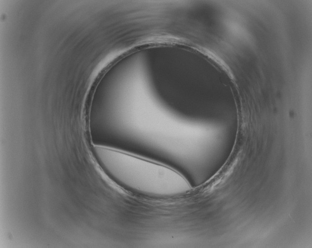 X0000076051037200609221053