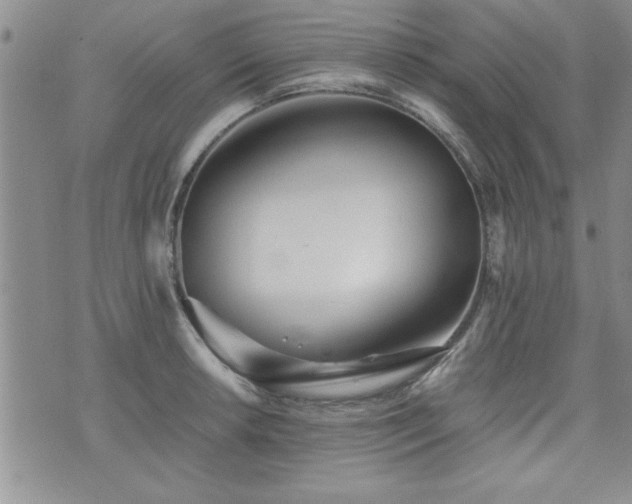 X0000076051042200609221053