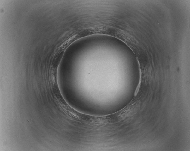 X0000076051058200609221052