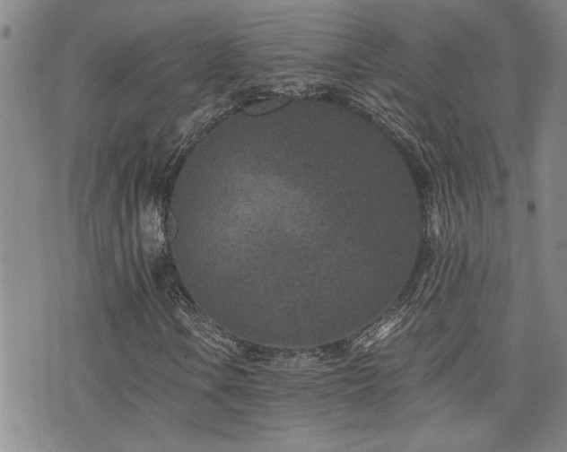 X0000076051106200609221051