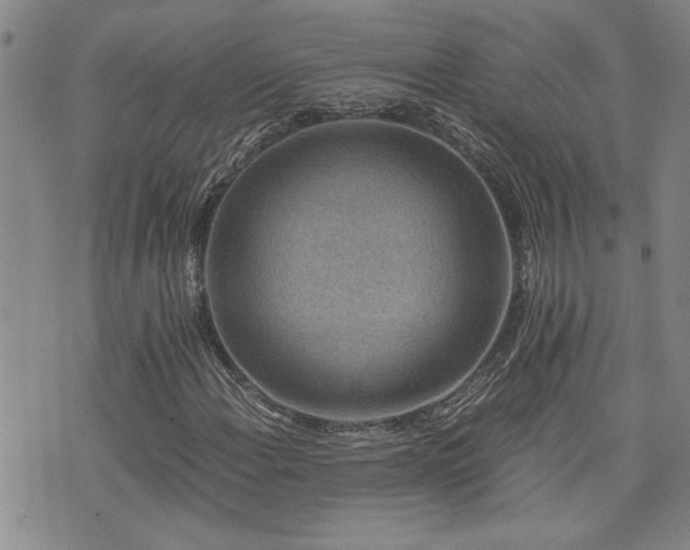X0000076051108200609221051