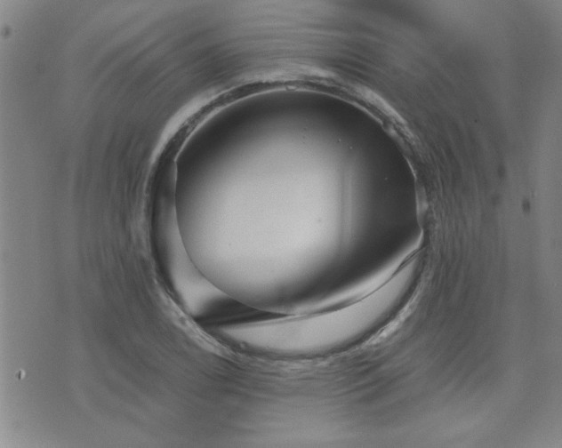 X0000076051122200609221051
