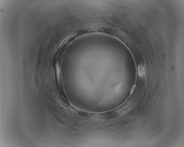 X0000076051155200609221051