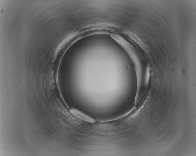 X0000076051164200609221050
