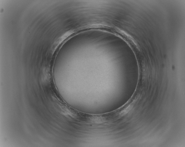 X0000076051170200609221050
