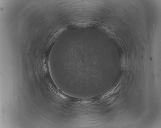 X0000076051202200609221049