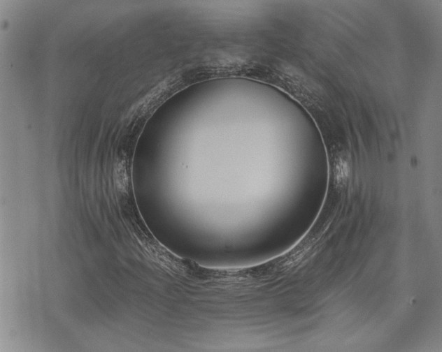 X0000076051204200609221049