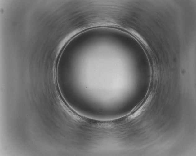 X0000076051246200609221050