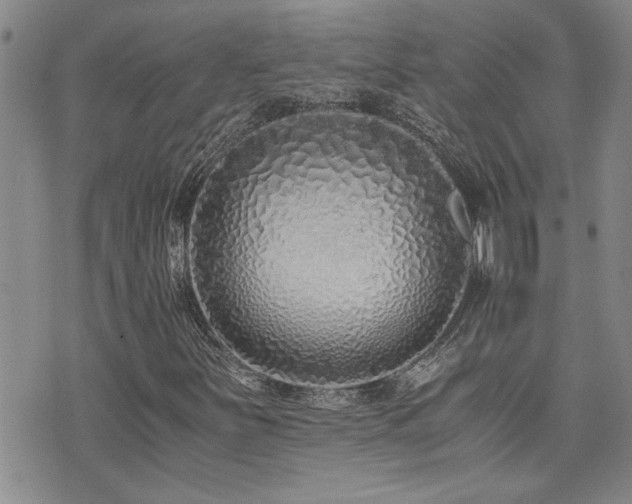 X0000076051251200609221049