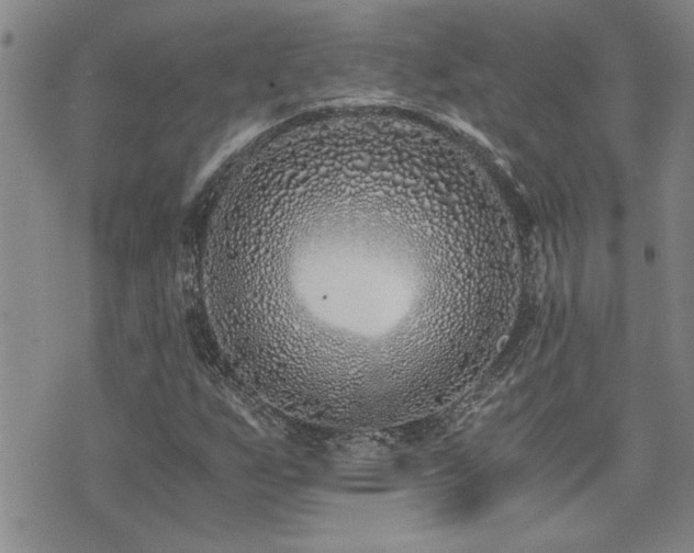 X0000076051255200609221049