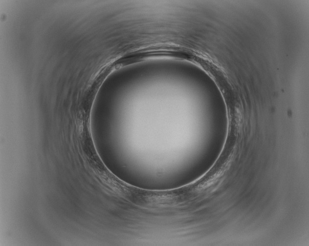 X0000076051257200609221049