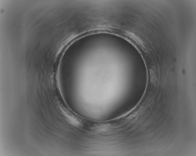 X0000076051260200609221049