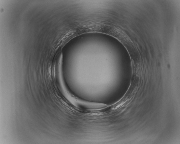 X0000076051298200609221048