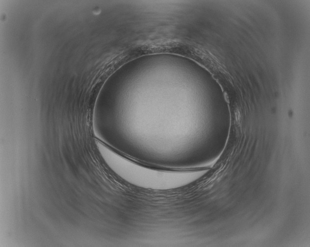 X0000076051300200609221048