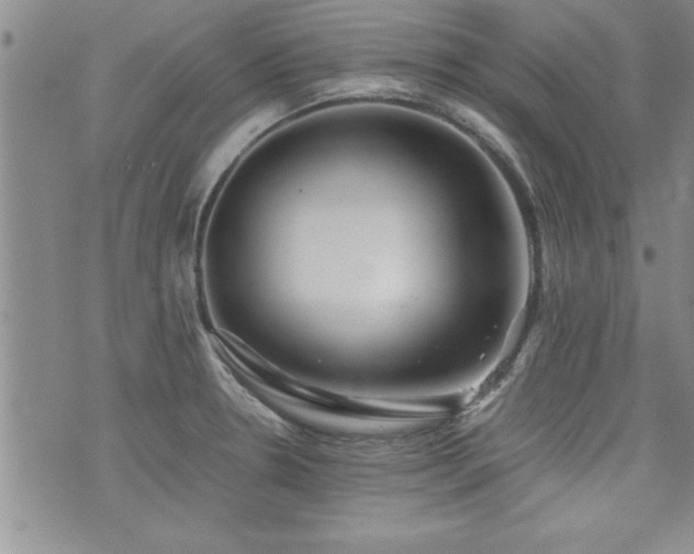 X0000076051330200609221048