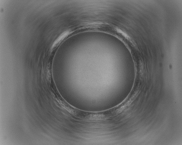 X0000076051354200609221047