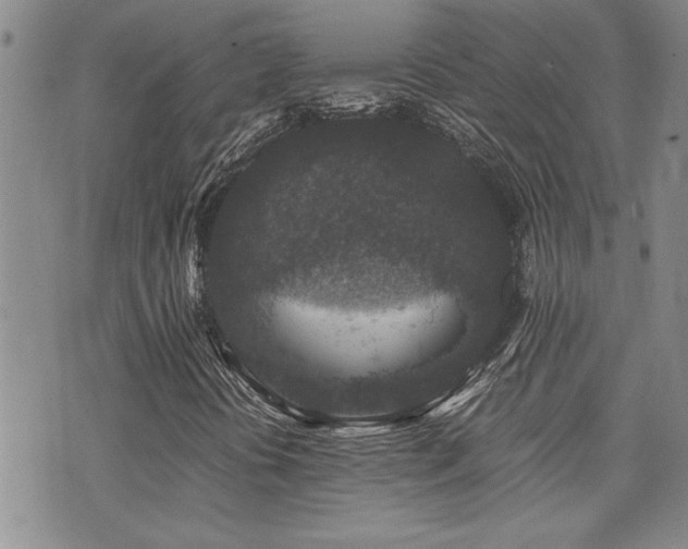 X0000076051394200609221046