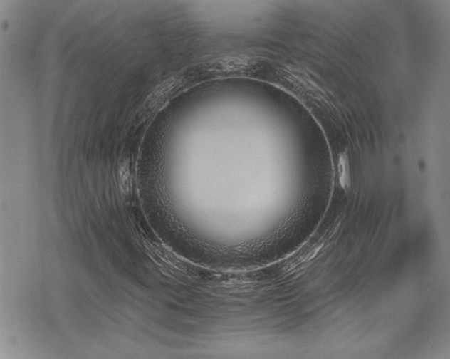 X0000076051395200609221046