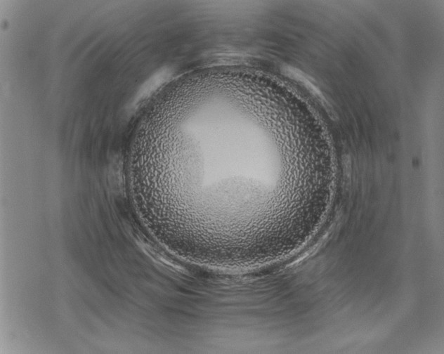 X0000076051403200609221046