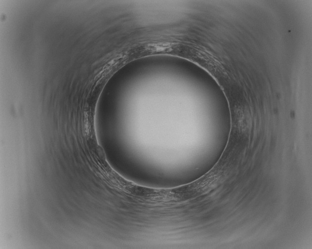 X0000076051442200609221046