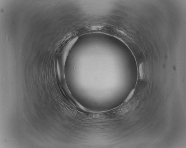 X0000076051443200609221046