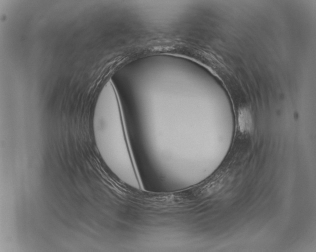 X0000076051444200609221046