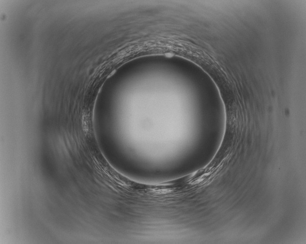 X0000076051490200609221044