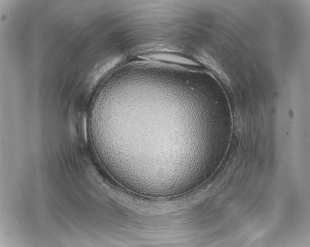 X0000076050014200609291020