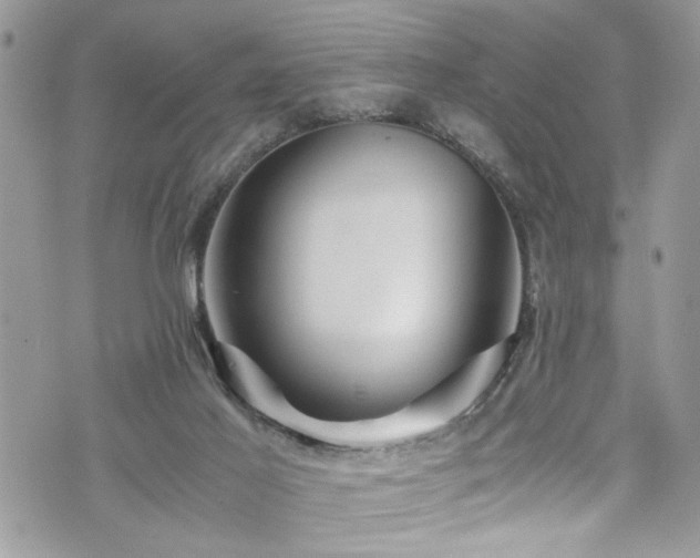 X0000076050021200609291020