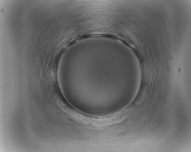 X0000076050039200609291020