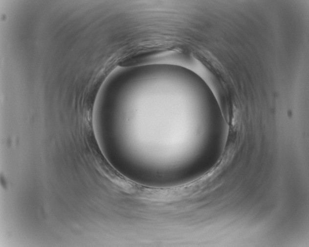 X0000076050045200609291019