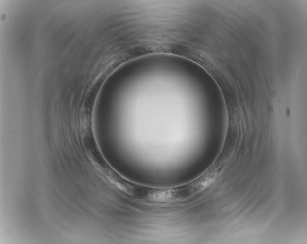 X0000076050084200609291019