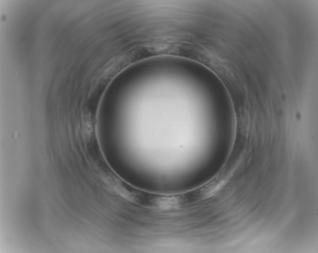 X0000076050085200609291019