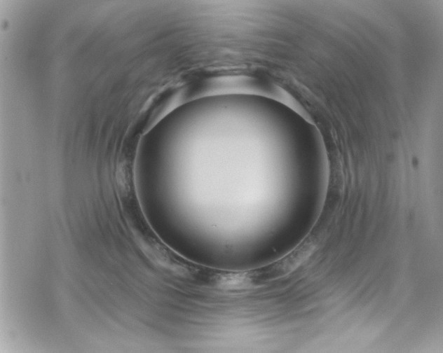 X0000076050088200609291019