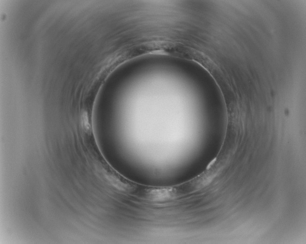 X0000076050089200609291019