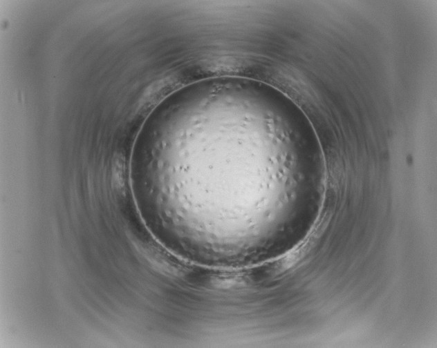 X0000076050175200609291018