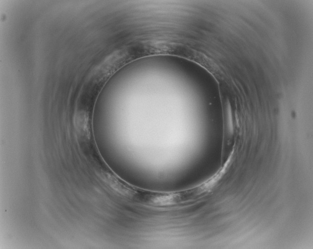 X0000076050178200609291018