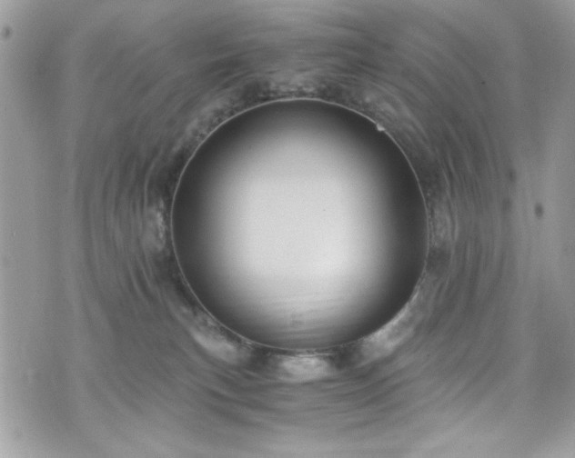X0000076050183200609291018