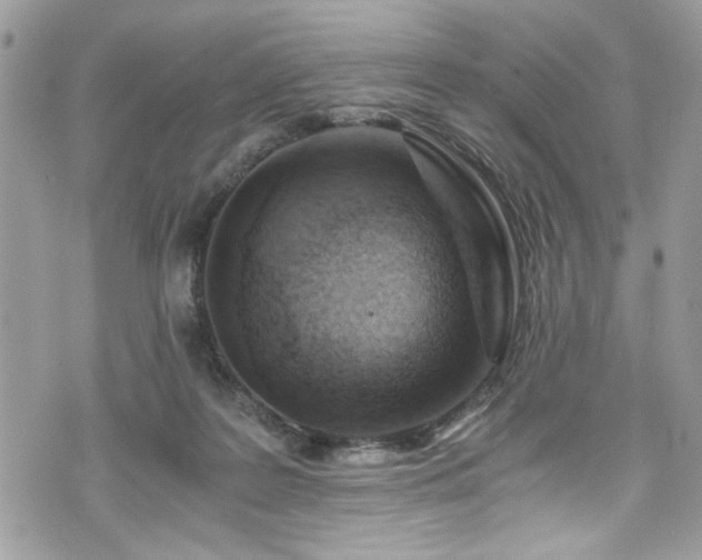 X0000076050219200609291017