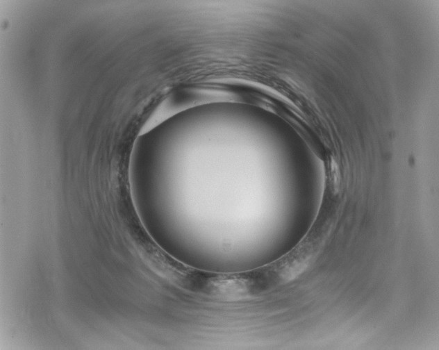 X0000076050221200609291017