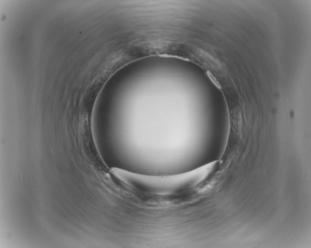 X0000076050225200609291017