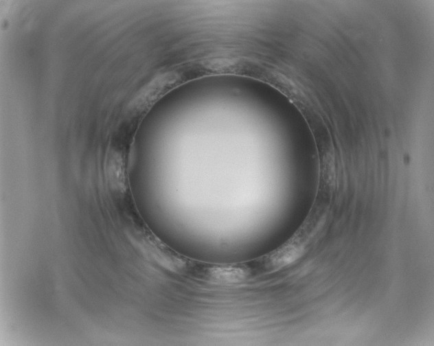 X0000076050234200609291016