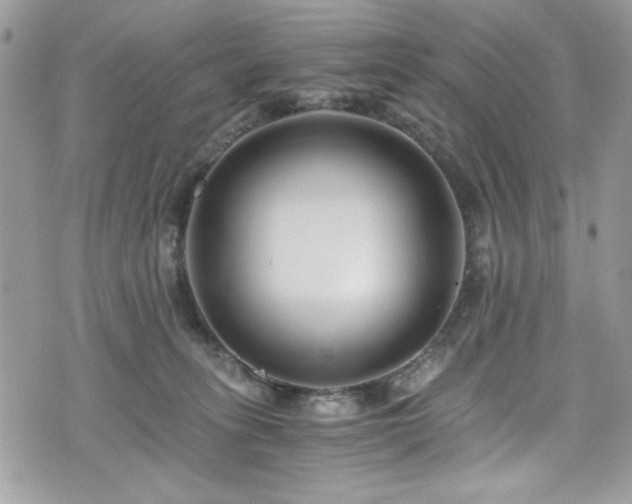 X0000076050275200609291016