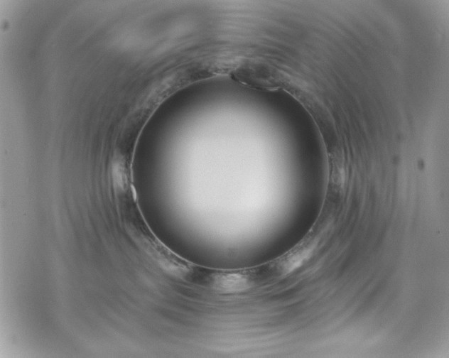 X0000076050287200609291016