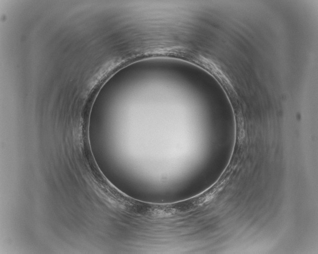 X0000076050346200609291014