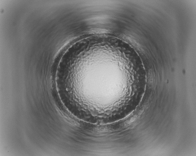 X0000076050351200609291014