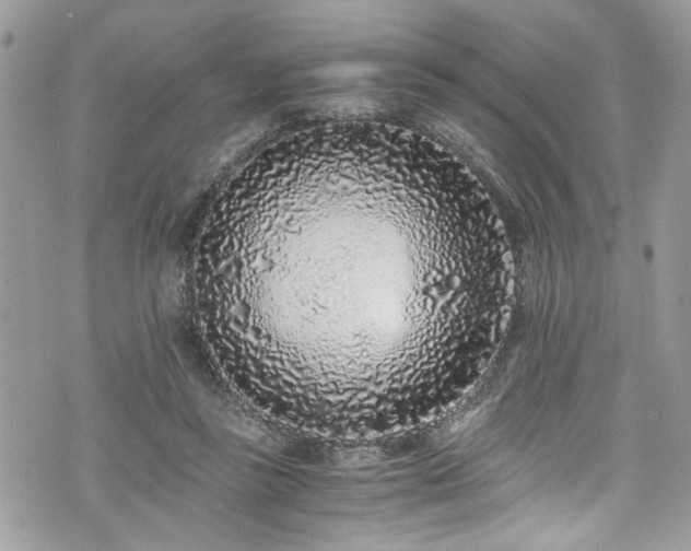 X0000076050355200609291014