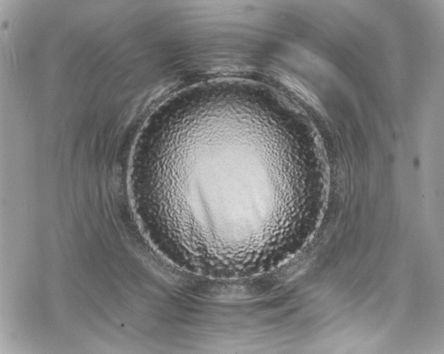 X0000076050361200609291014